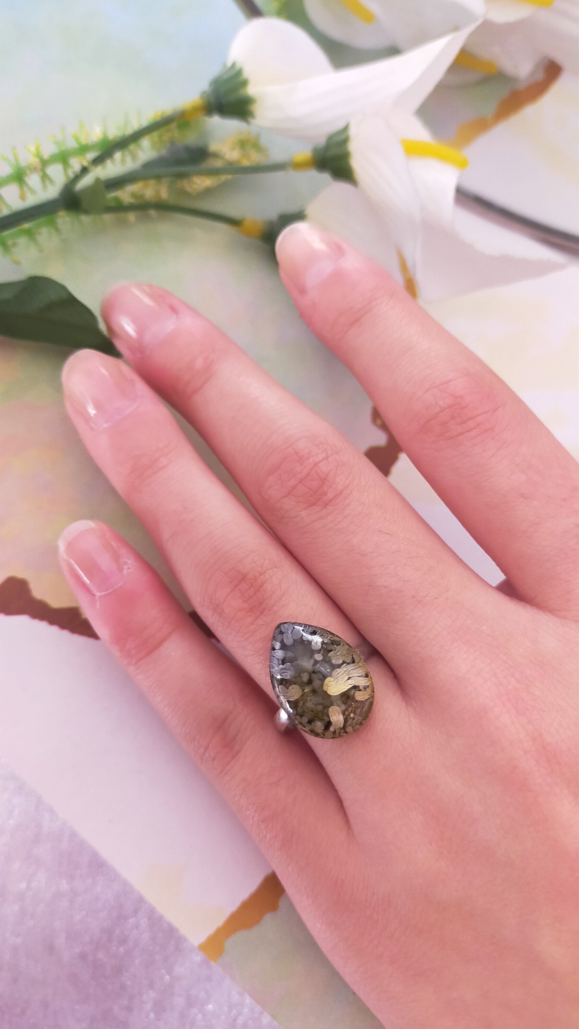 Anillos Petri Dish - 8