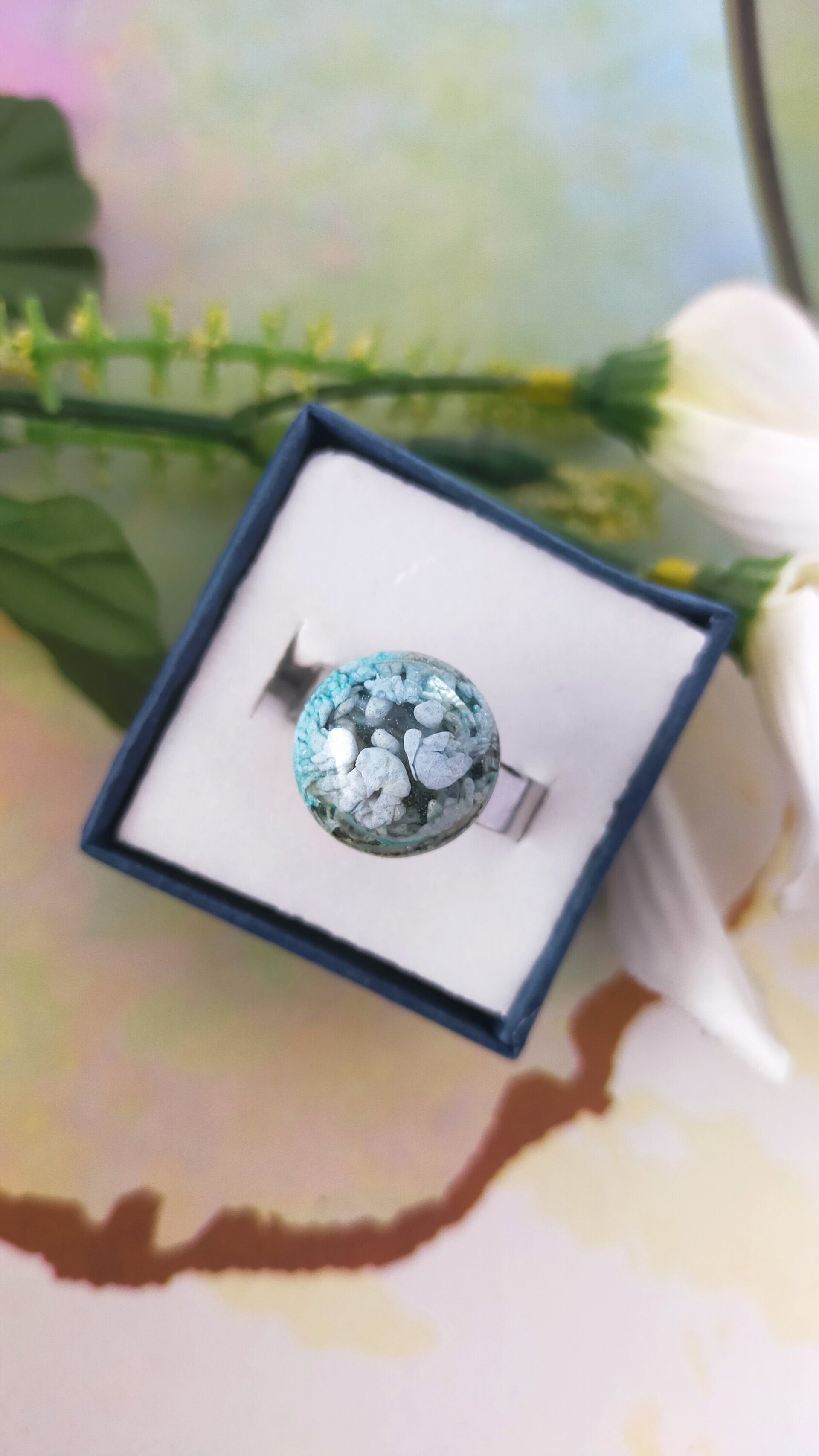 Anillos Petri Dish - 2