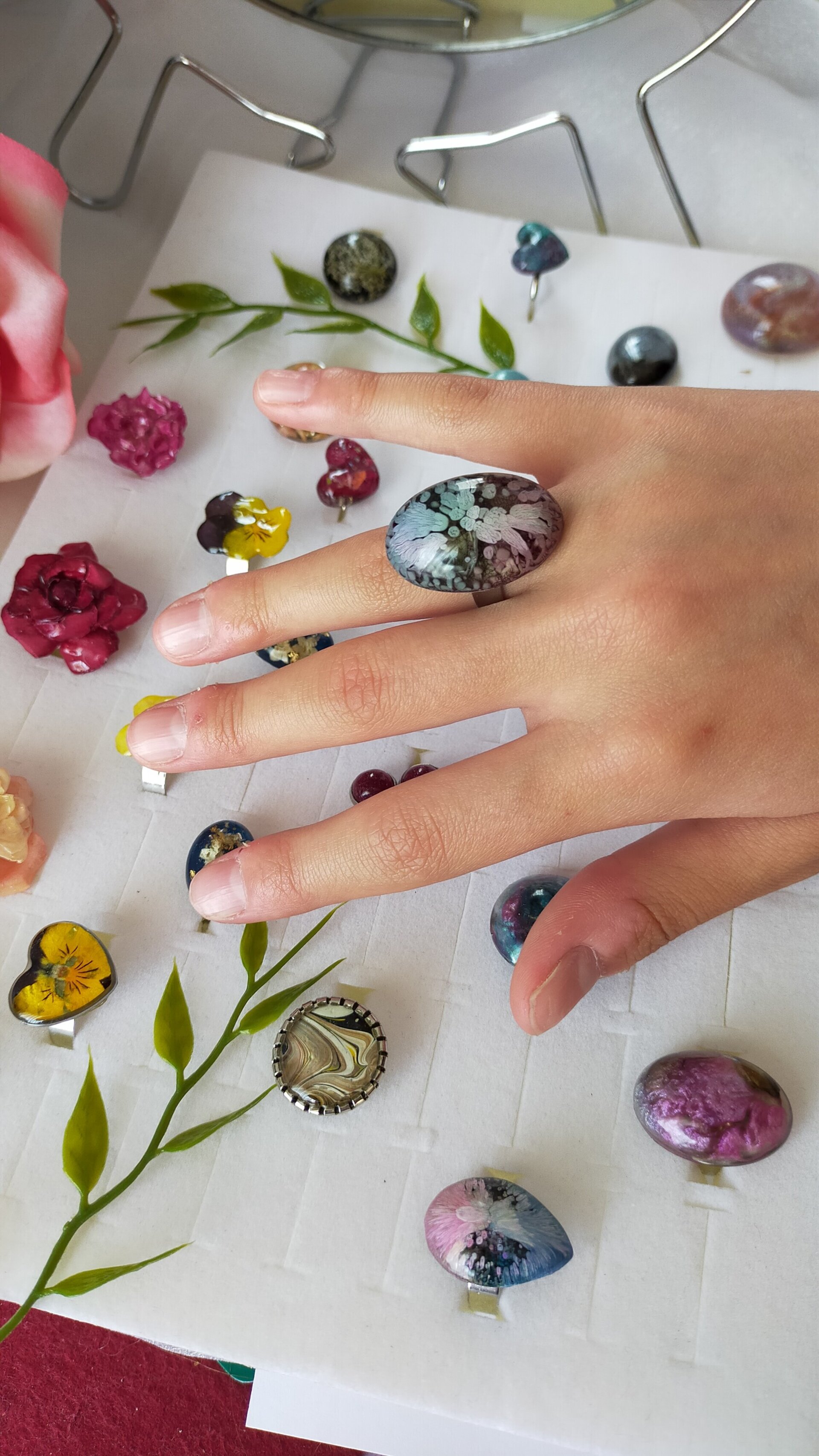 Anillos Petri Dish - 5